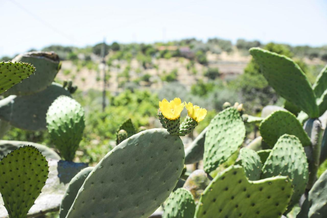 Jardinu Vendégház Noto Kültér fotó